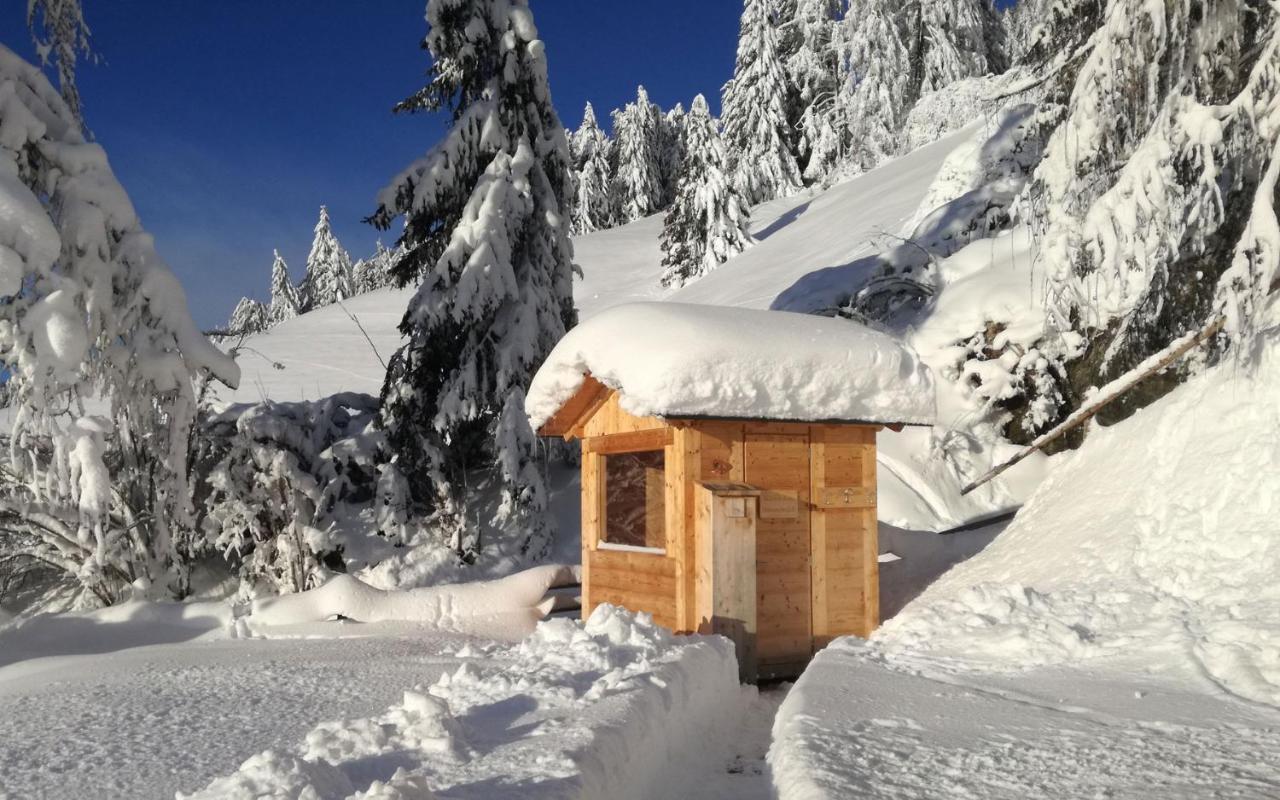 Chalet Panorama Himmelreichhof 圣坎迪朵 外观 照片